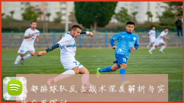 成都排球队反击战术深度解析与实战应用探讨