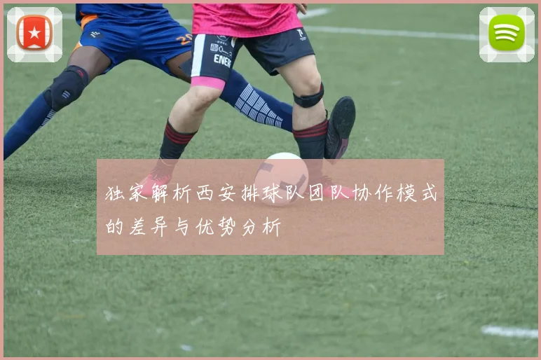 独家解析西安排球队团队协作模式的差异与优势分析