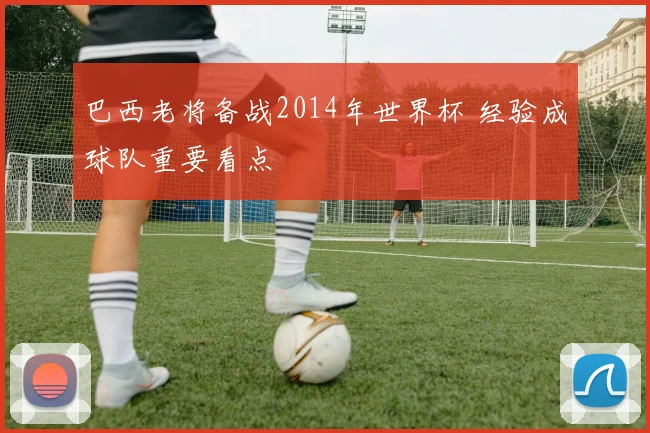 巴西老将备战2014年世界杯 经验成球队重要看点