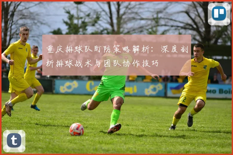 重庆排球队盯防策略解析：深度剖析排球战术与团队协作技巧